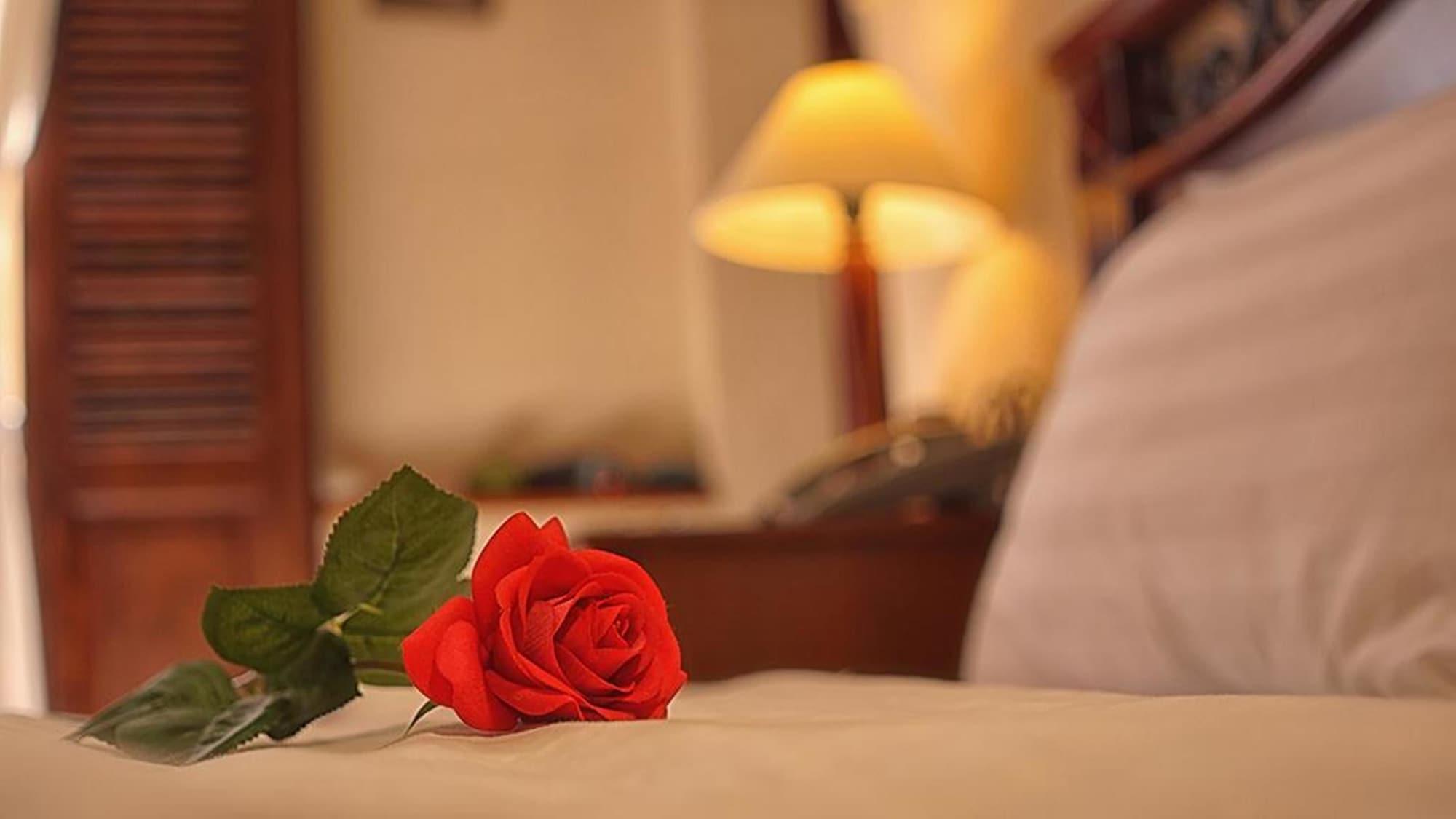 Cam Ly Boutique Apartment & Hotel TP. Hồ Chí Minh Ngoại thất bức ảnh