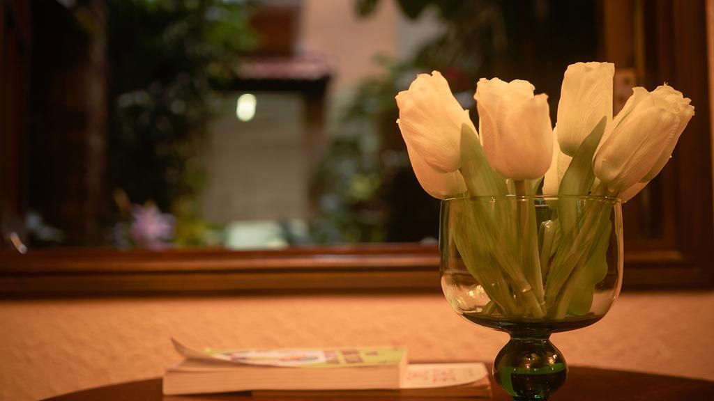 Cam Ly Boutique Apartment & Hotel TP. Hồ Chí Minh Ngoại thất bức ảnh